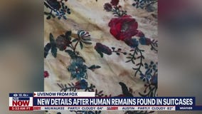 Human remains in 3 suitcases wash up in Florida