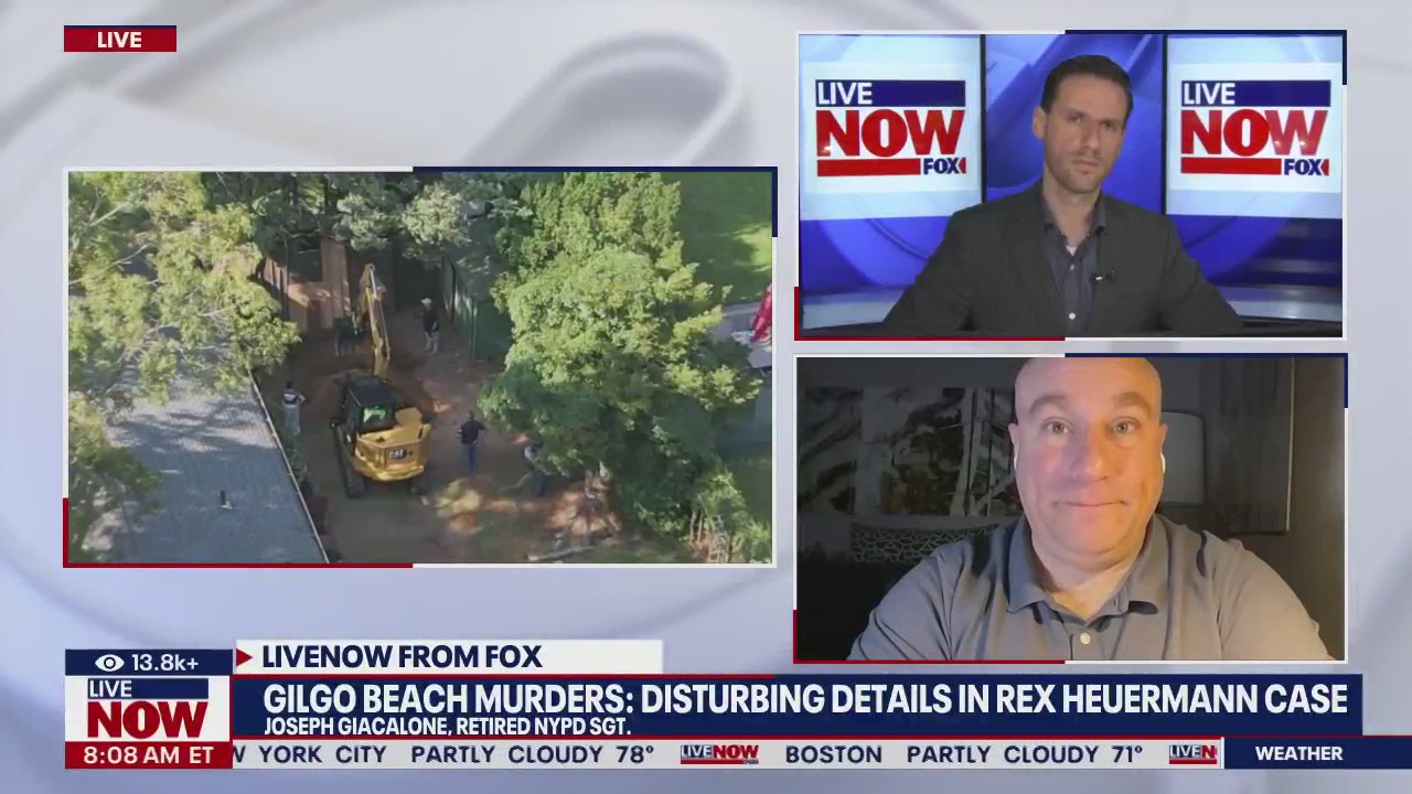 Gilgo Beach murders: Ex-NYPD sgt. on new details