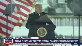 Trump pleads not guilty: What comes next?