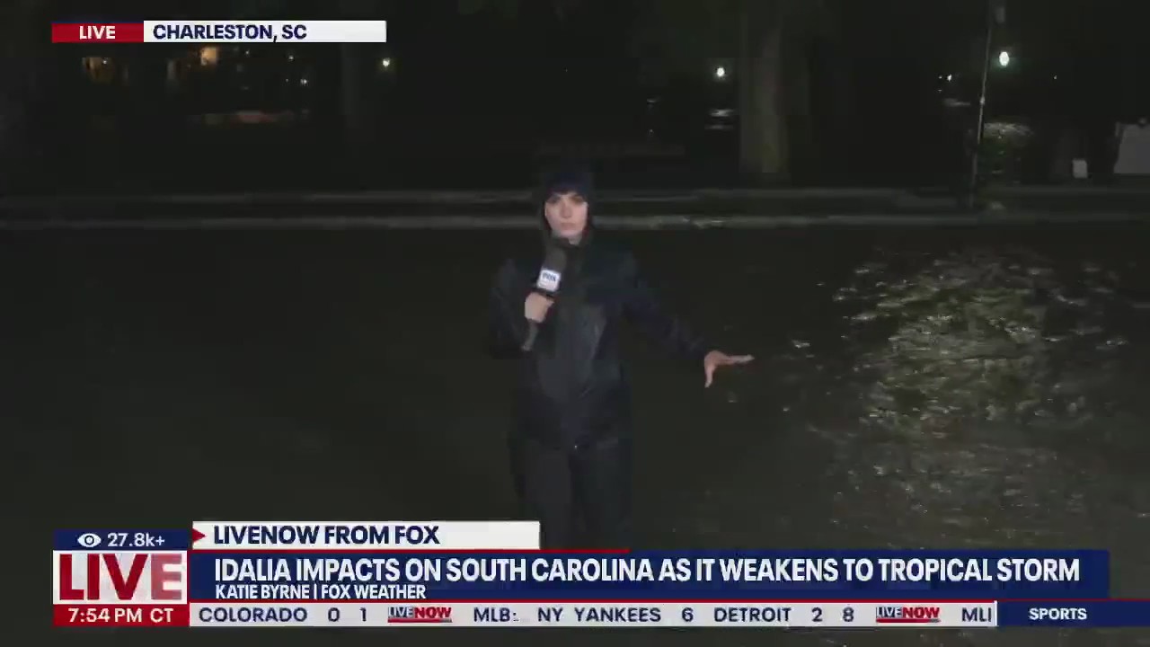 South Carolina slammed by Idalia rain, wind