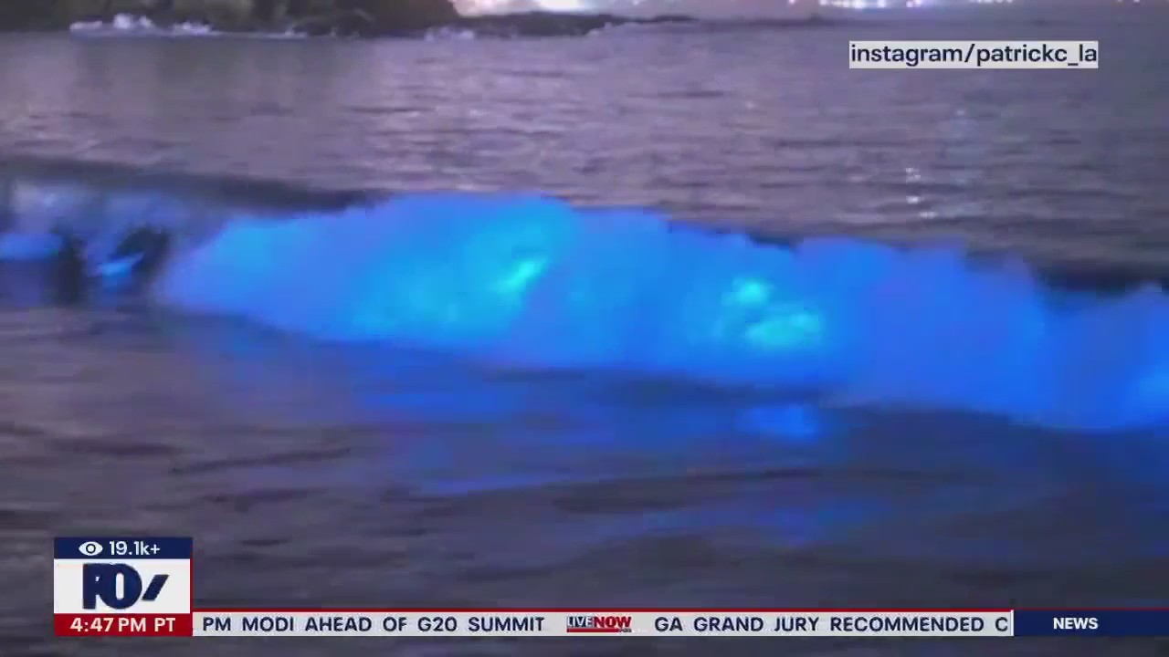 Photographer describes capturing glowing waves