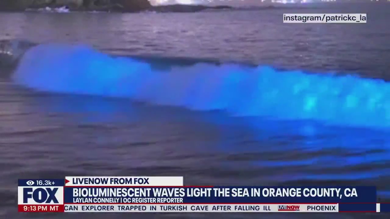 Bioluminescent waves light up Calif. coastline