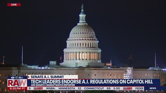 Lawmakers discuss future of AI