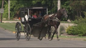 Man launches 'Amish Uber' ride-hailing service