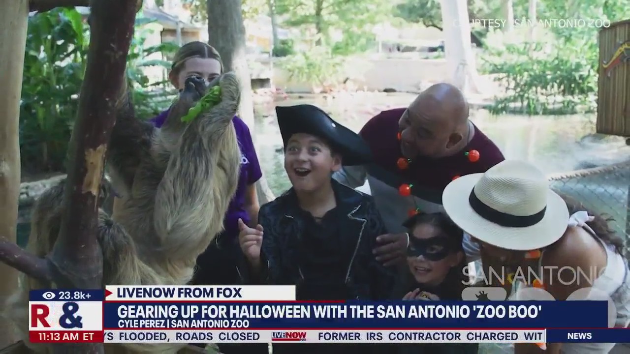 San Antonio 'Zoo Boo' kicks off in Texas | LiveNOW from FOX
