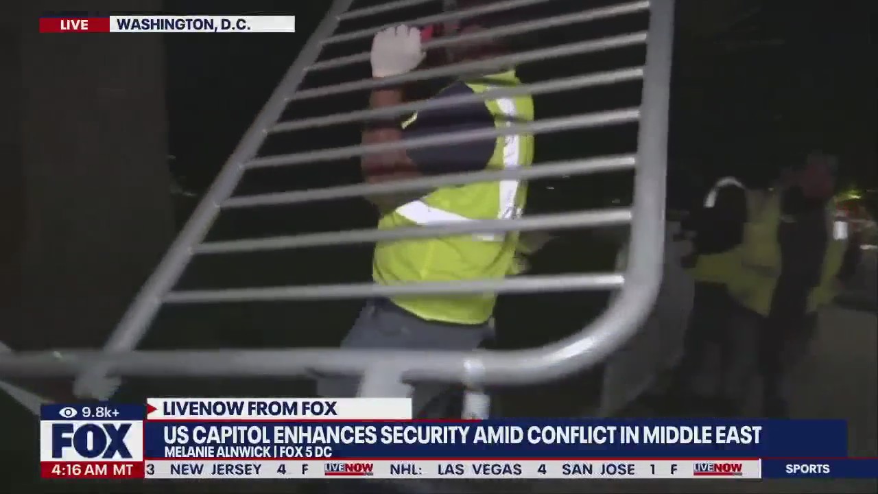 DC on high alert amid 'Global Day of Rage'