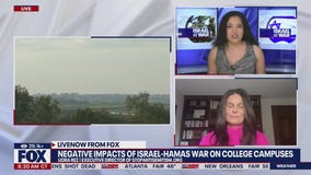 College campuses divided on Israel-Hamas war