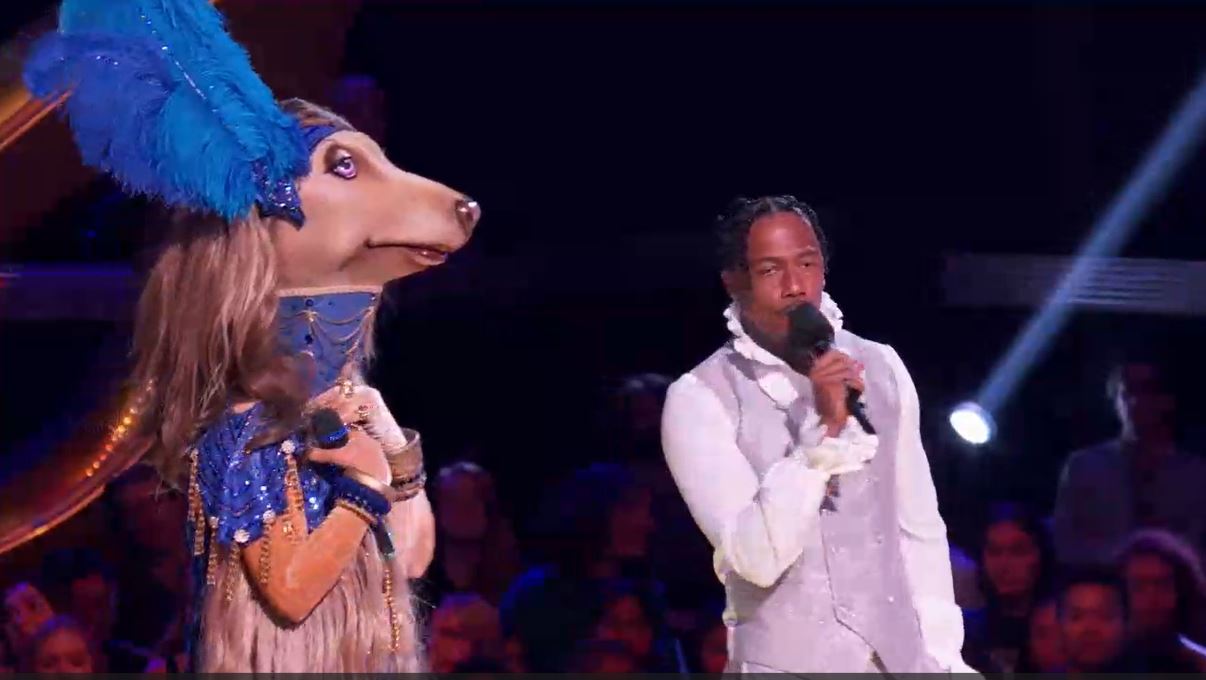 Afghan Hound revealed on ?The Masked Singer?