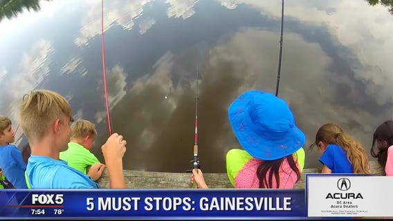 Gainesville | Zip Trip: 5 Must Stops