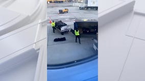 Watch: Golf team's club mishandled on Delta flight