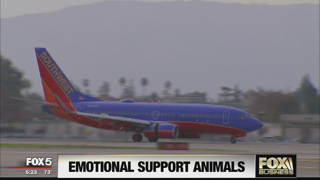 FOX Business Beat: Walmart teams with Ellen Degeneres; airline cuts back on ?emotional support? animals