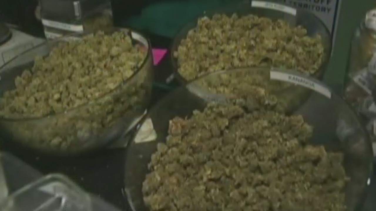 NYC marijuana policy [Interview]