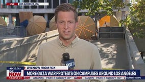Violent Gaza war protest at Cal State LA