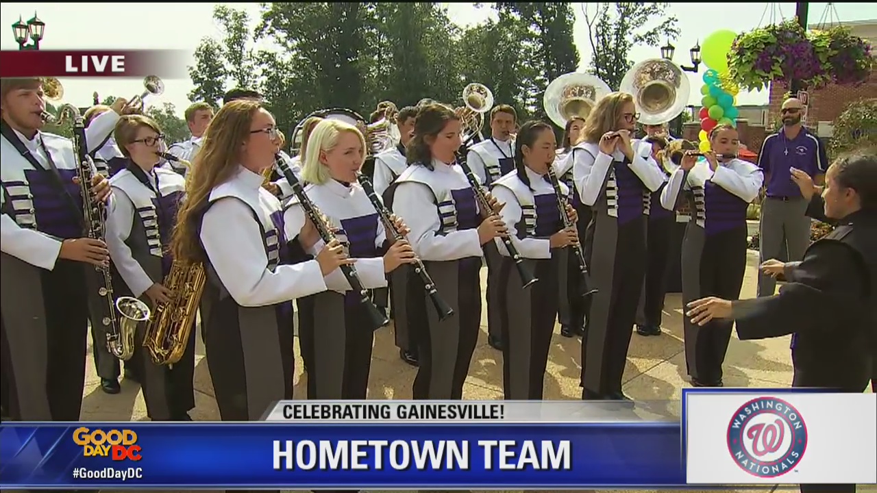 Gainesville | Zip Trip: Washington Nationals Hometown Team