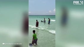 Bear spotted swimming at Florida beach