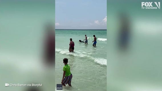 Bear spotted swimming at Florida beach