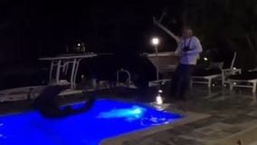 Crocodile wrangled from Florida pool