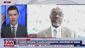 Will Democrats rally around VP Harris?