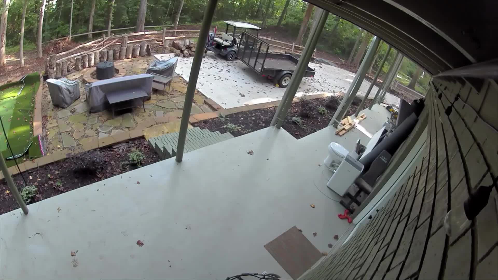 Burglary suspect tries to enter home while carrying small dog