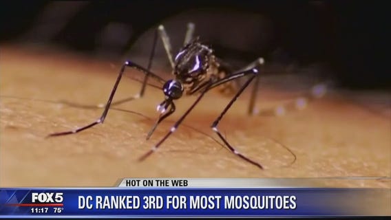 DC ranked 3rd in US with worst mosquito problem