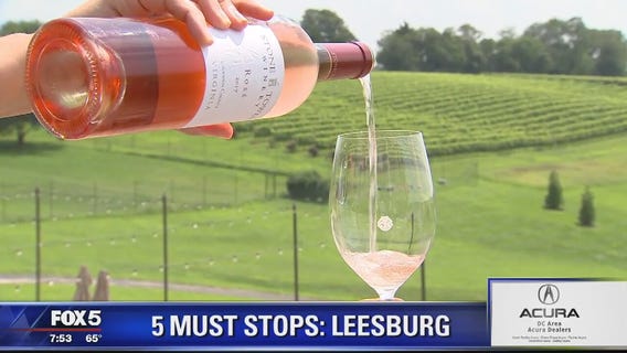 Leesburg ZIp Trip: 5 Must Stops