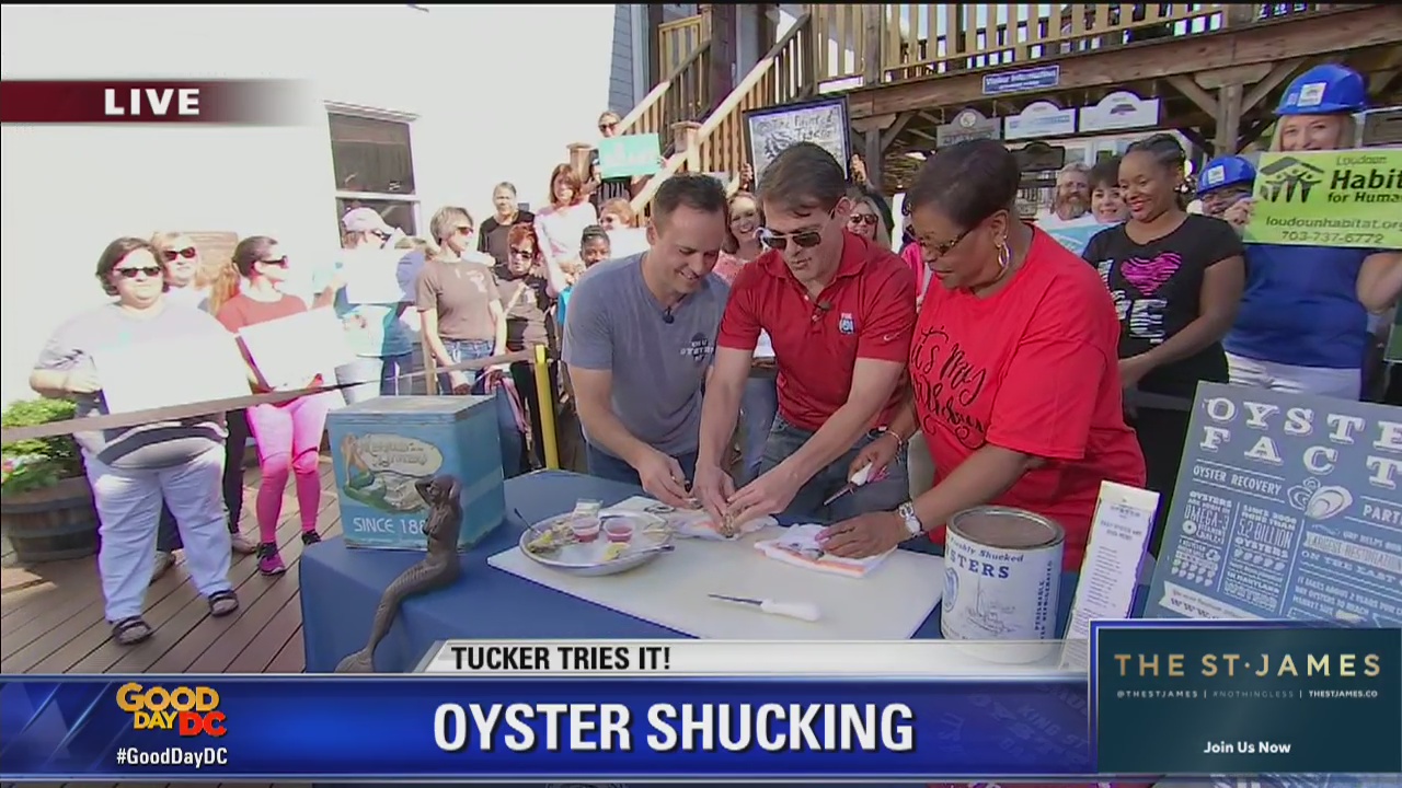 Leesburg Zip Trip: Tucker Tries It