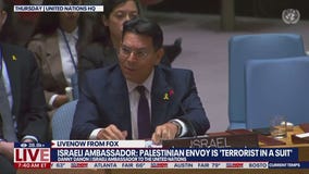 Israeli UN envoy: "You are a terrorist in a suit!"