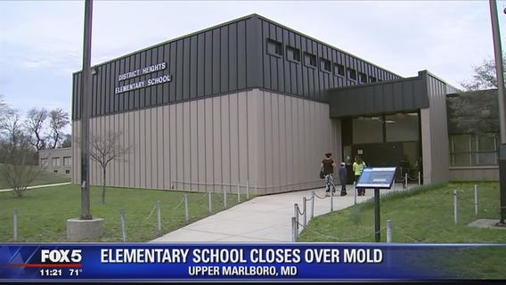 Prince George's County elementary school to be closed for renovations after mold found