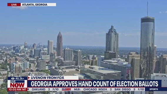 Georgia approves hand count of election ballots