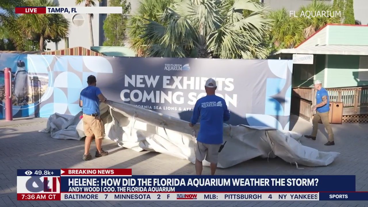 How the Florida Aquarium survived Hurricane Helene