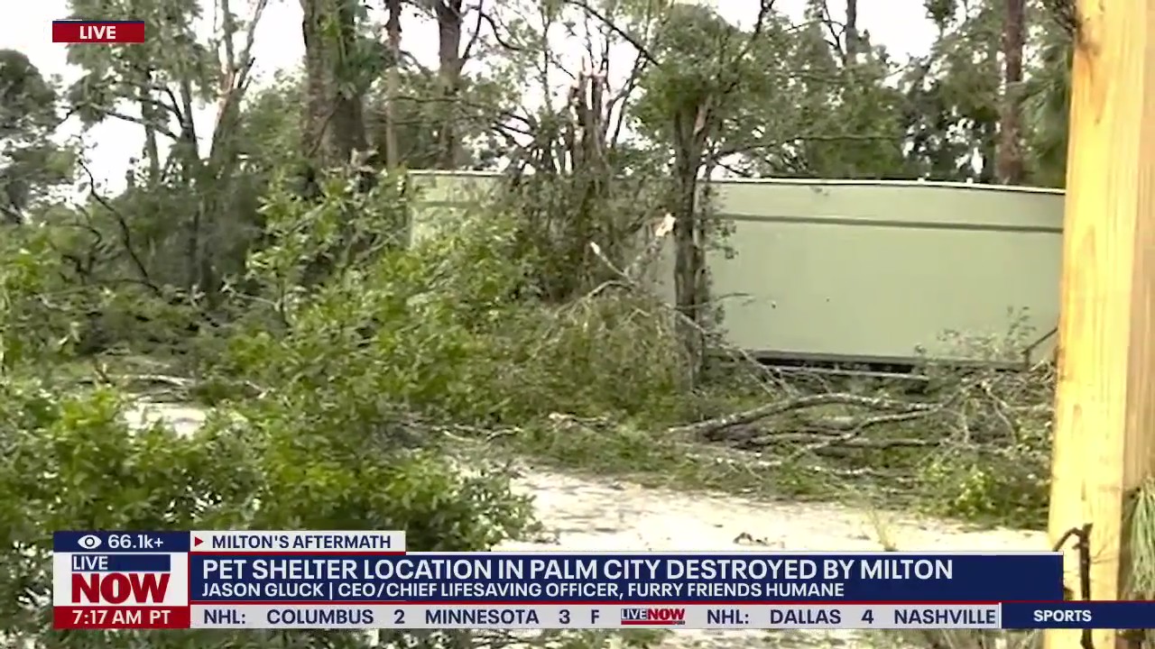 Pet shelter destroyed by Hurricane Milton