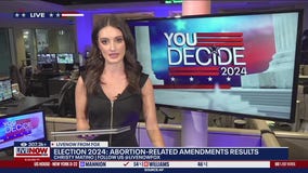 Abortion-related amendments results