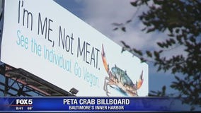 Marylanders crabby over PETA's vegan billboard in Baltimore