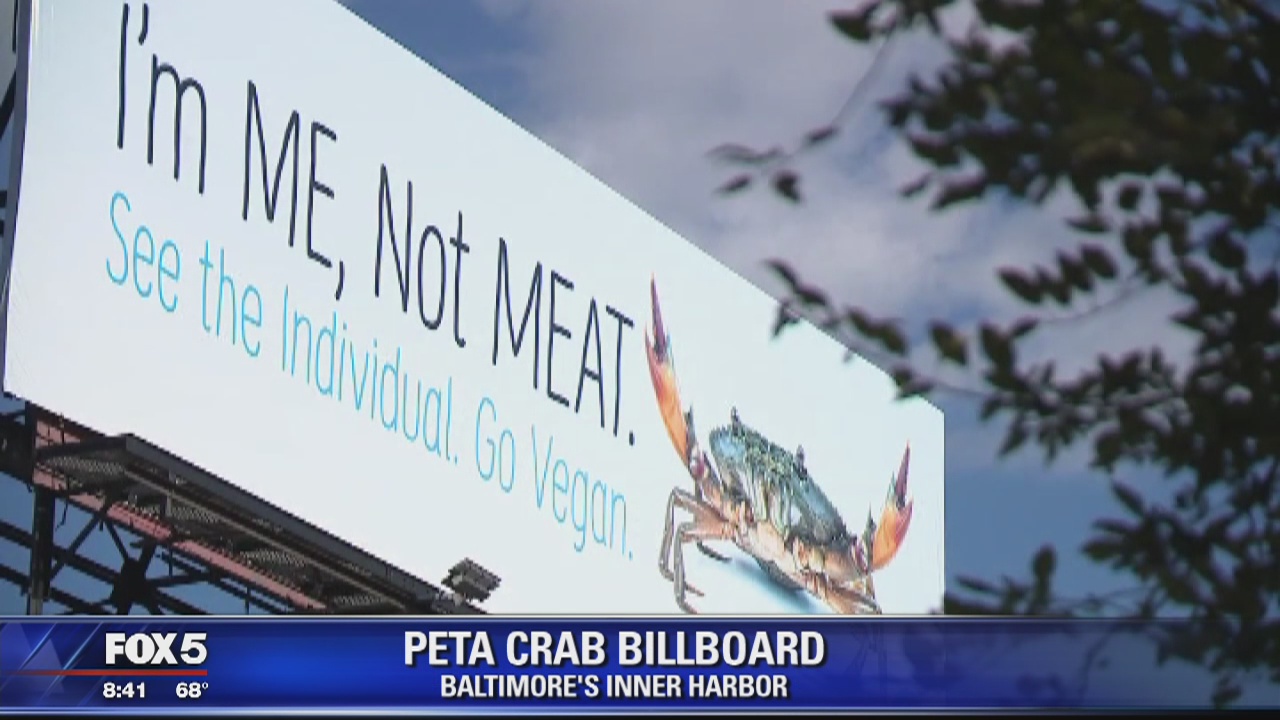 Marylanders crabby over PETA's vegan billboard in Baltimore