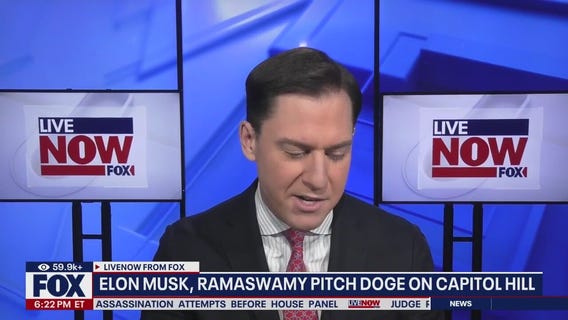 Update on the Department of Government Efficiency