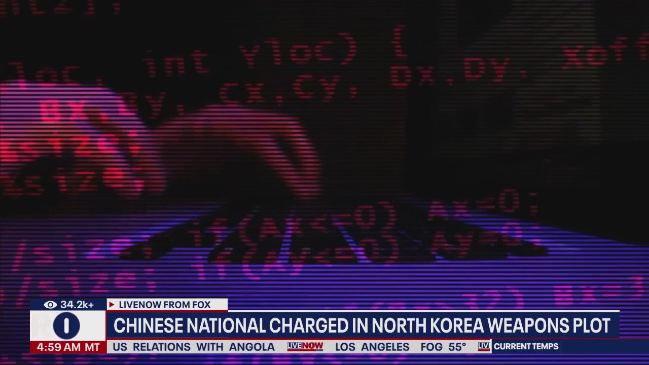 Chinese national charged in N. Korea weapons plot