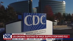US orders testing of milk supply for bird flu