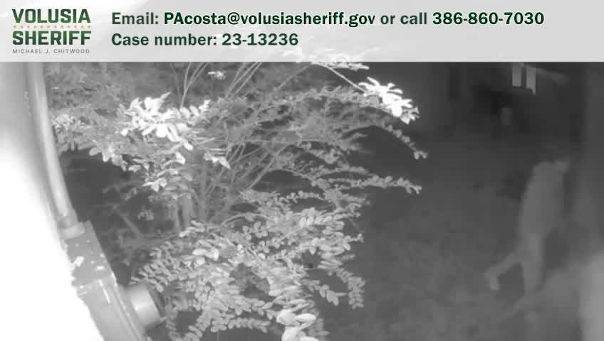 Thieves steal meaningful item from woman