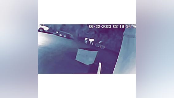 Police looking for horse thief