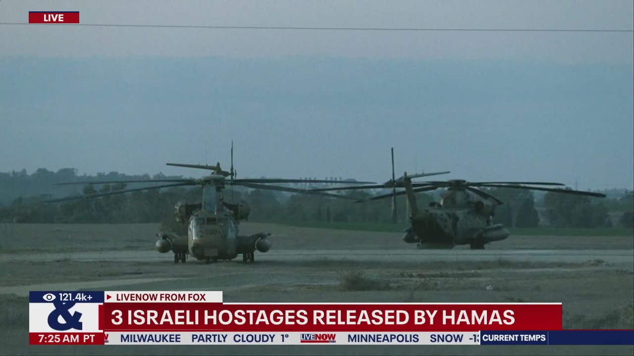 Israeli hostages released by Hamas