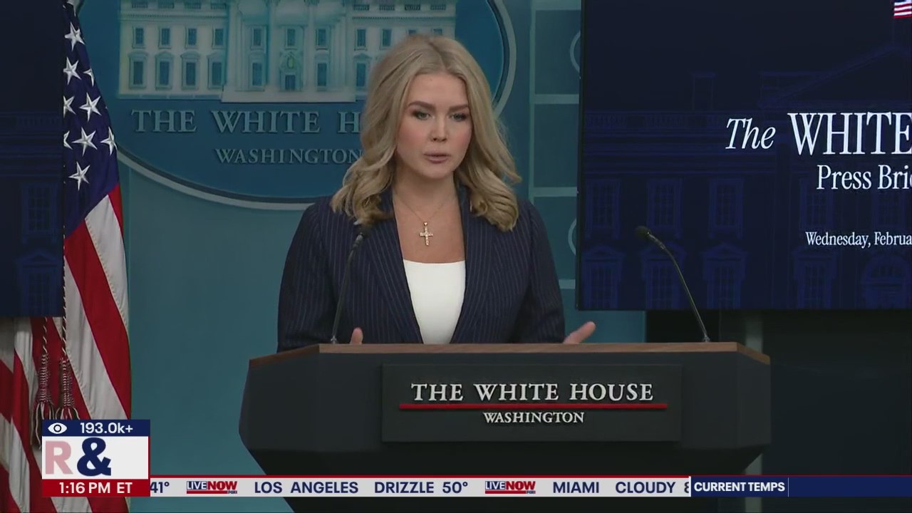 Press secretary talks about Elon Musk, DOGE & Putin