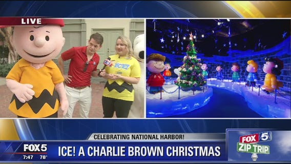 National Harbor | Zip Trip: ICE! Preview