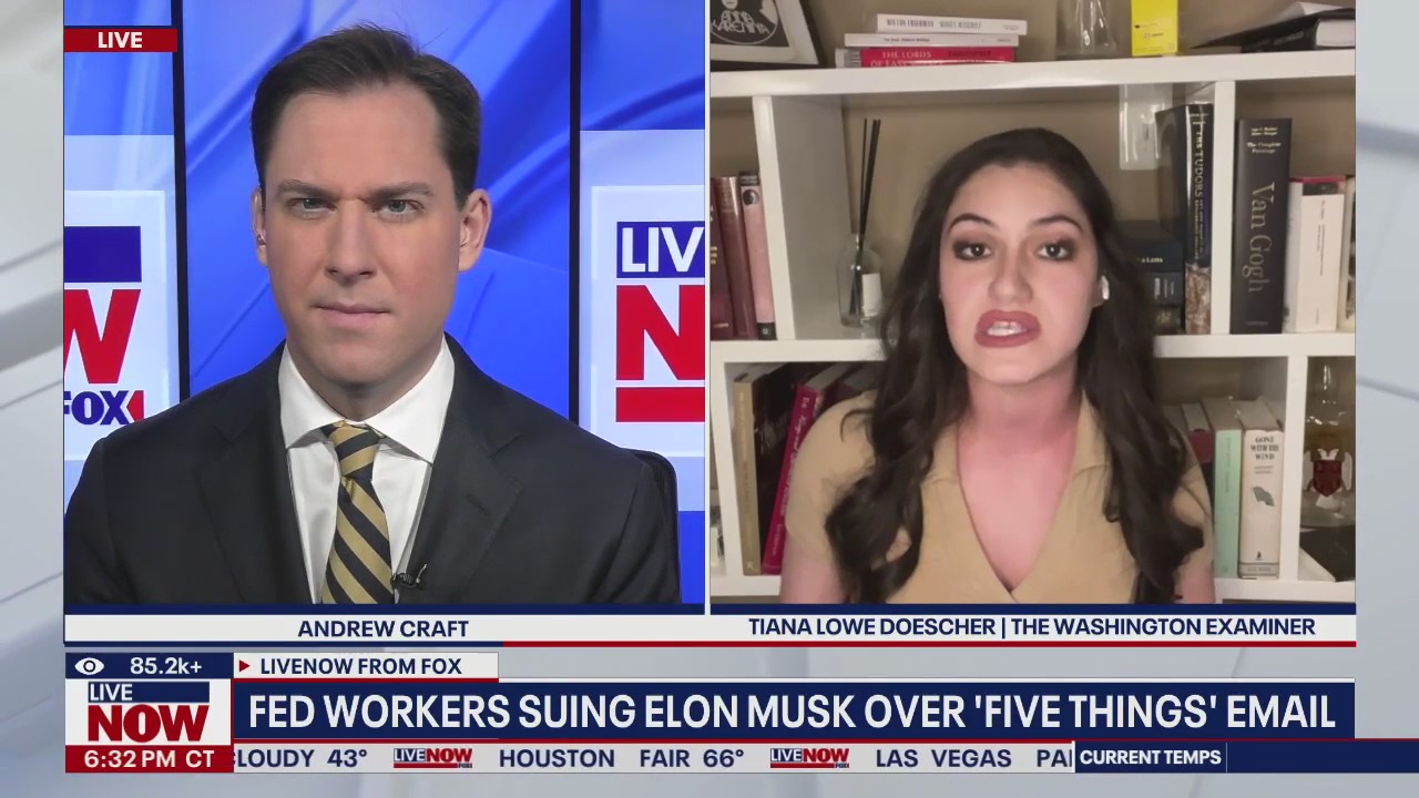 Fed workers suing Elon Musk over 'five things' email