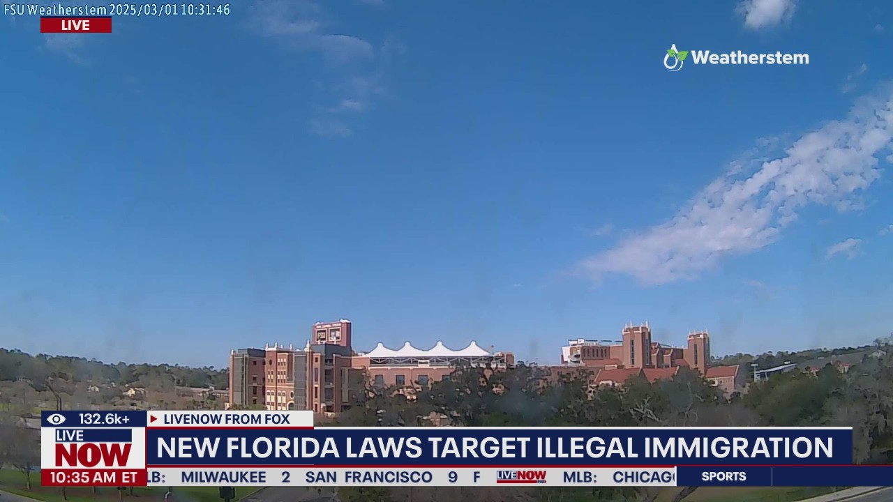 New Florida laws target illegal immigration