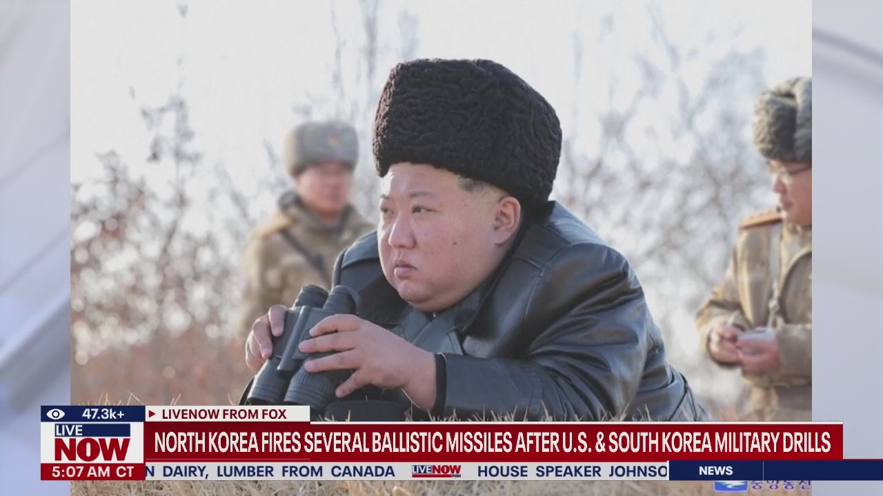 North Korea fires several ballistic missiles
