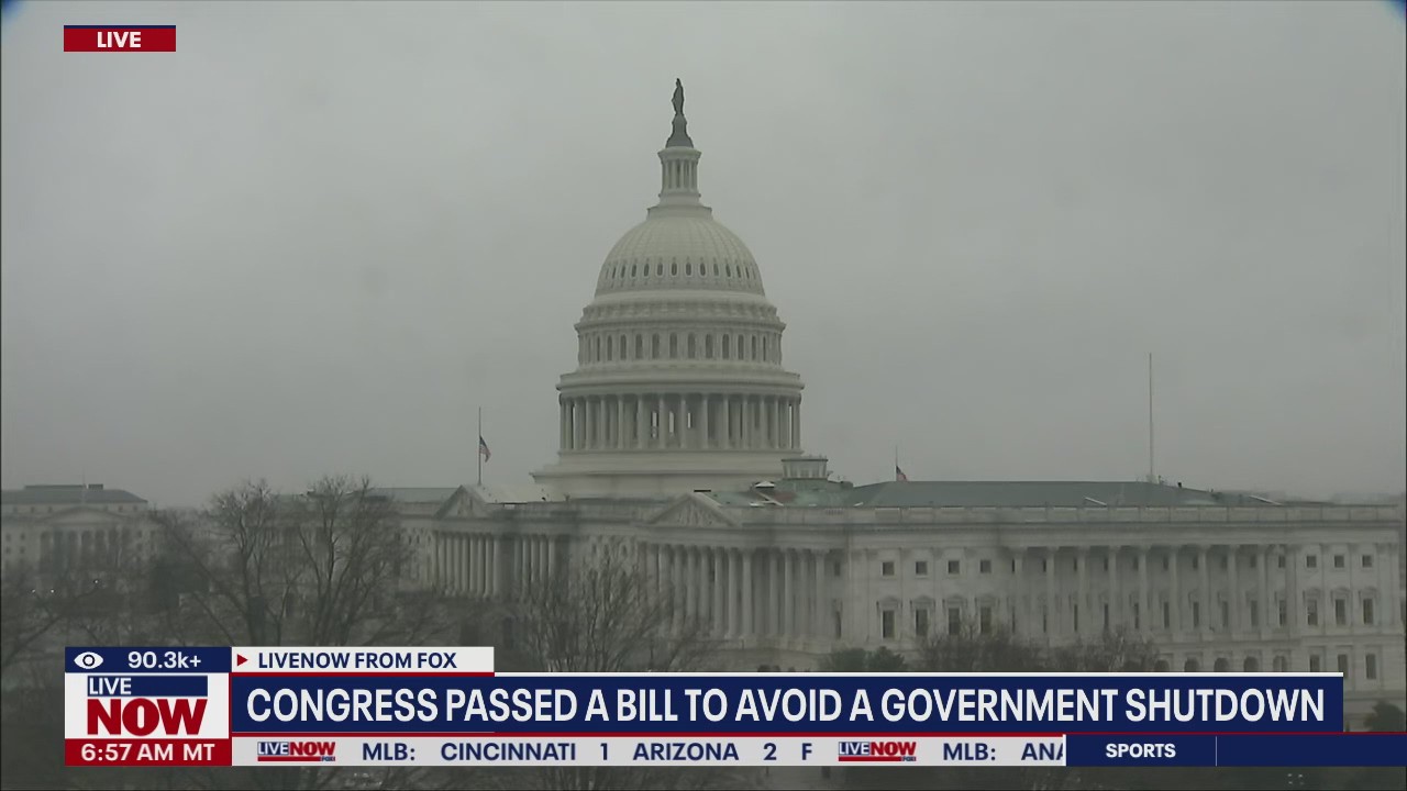 Congress passes bill to avoid government shutdown | LiveNOW from FOX