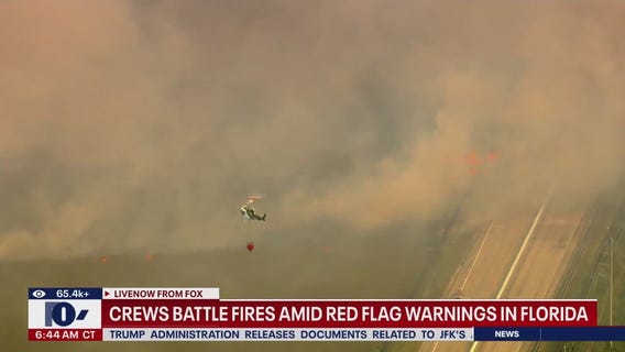 Wildfires burning across Florida