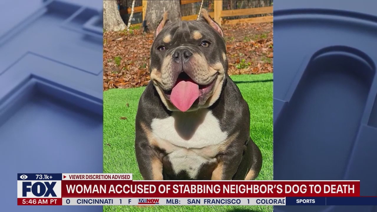 Woman accused of stabbing neighbor's dog to death