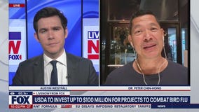 USDA to invest up to $100M for projects to combat bird flu