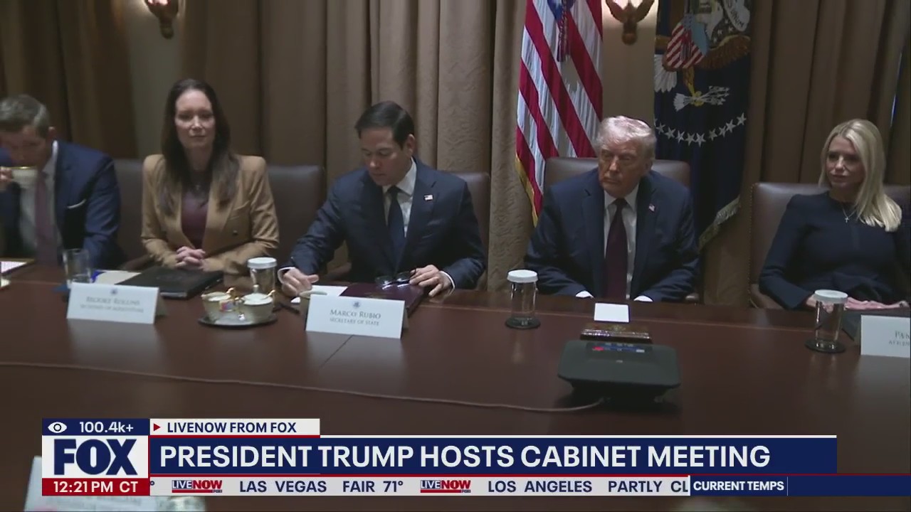 President Trump holds cabinet meeting with Elon Musk